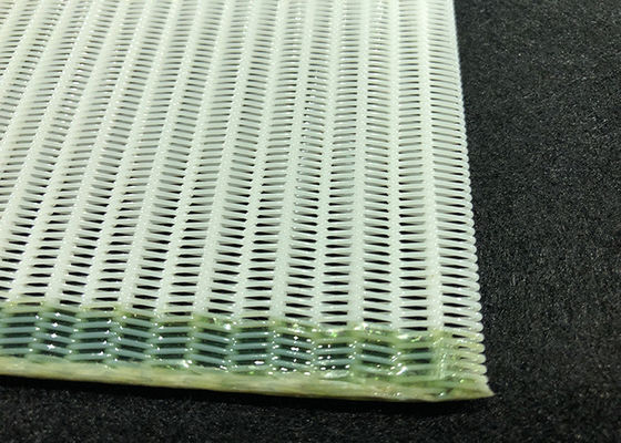 Odm Paper Mill Monofilament Polyester Conveyor Belt