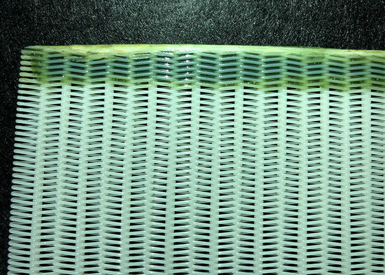 Odm Paper Mill Monofilament Polyester Conveyor Belt
