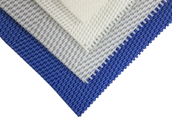 Trattamento farmaceutico di Mesh Conveyor Belt Sewage Water del poliestere del filtrante