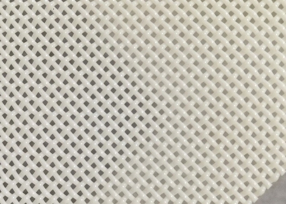poliestere Mesh Belt Square Hole For di dimensione del foro di 1x1mm che asciuga mangime per pesci