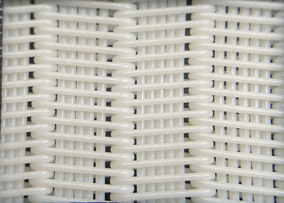 Filtro-pressa a spirale Mesh Belt Applicable To Coal dal poliestere che lava industria