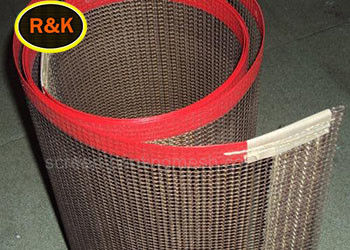 Alimento asciutto 4*4mm rivestito di  Ptfe Mesh Belt