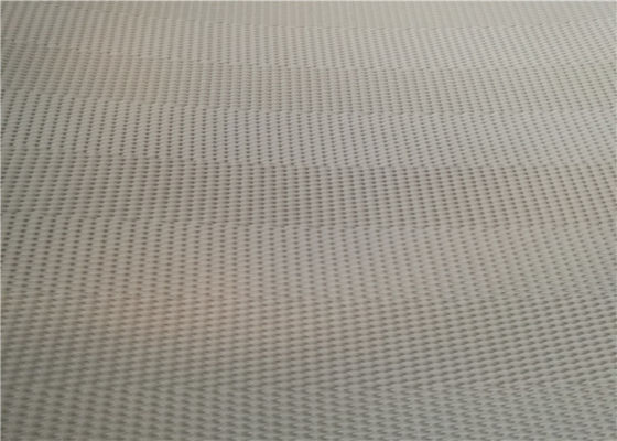 Cinghia di disidratazione dei fanghi del poliestere dello SGS della stampa di fabbricazione di carta