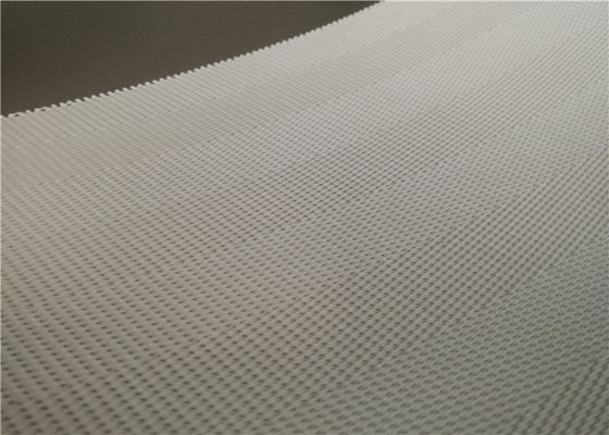 Poliestere Mesh Roller Sludge Dewatering Belt per la stampa di fabbricazione di carta