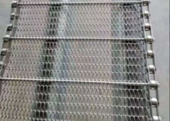 Essiccazione d'acciaio di Mesh Conveyor Belt Braided Conveyor del monofilamento inossidabile 201